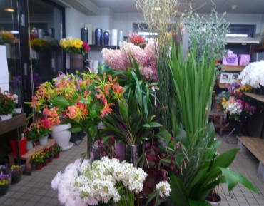 「神田花店」　（北海道幌泉郡えりも町）の花屋店舗写真1